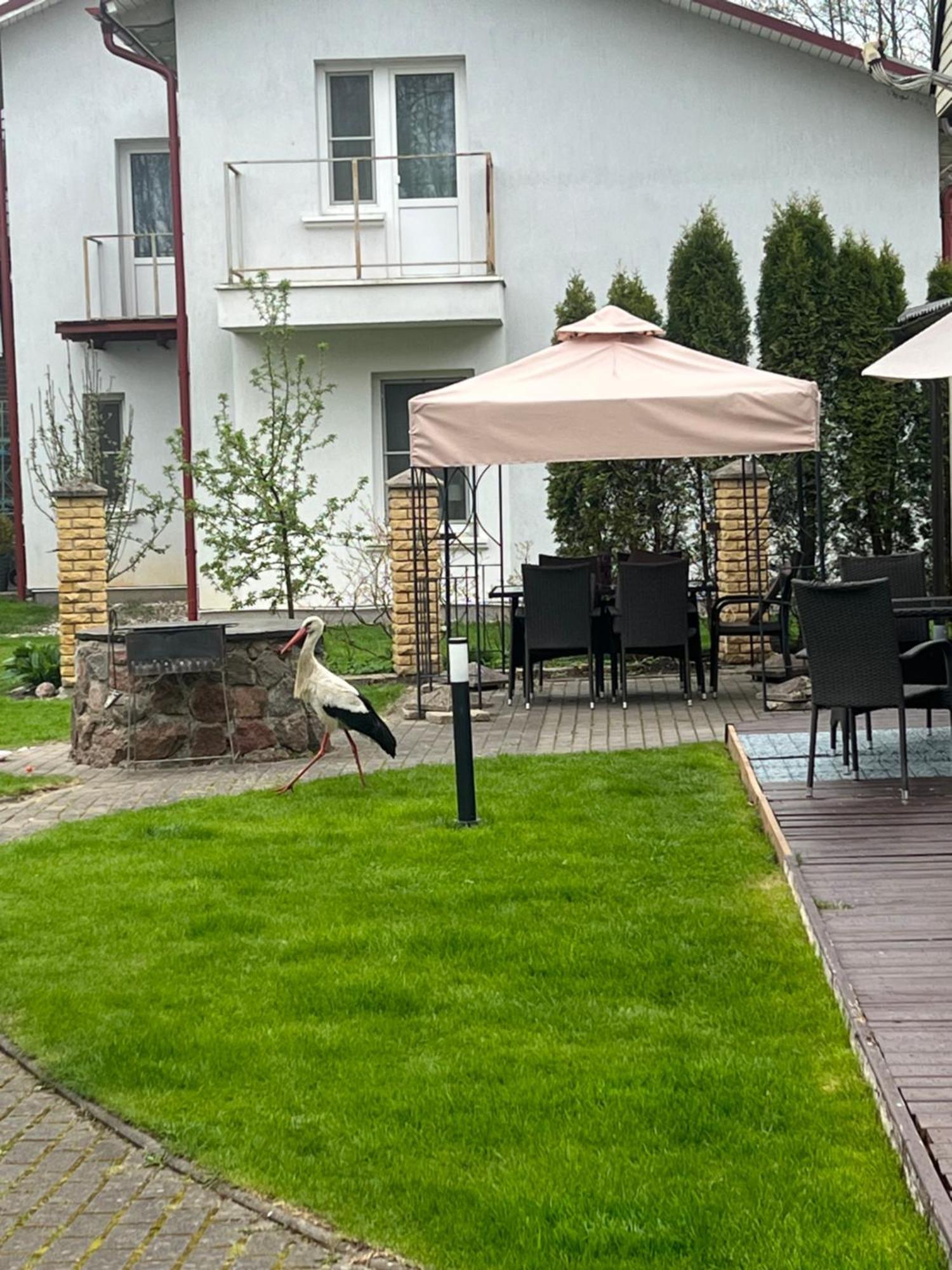 Vila Laurus Palanga Esterno foto